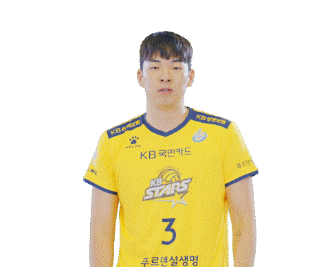 Kb스타즈 Sticker by KB STARS VOLLEYBALL CLUB