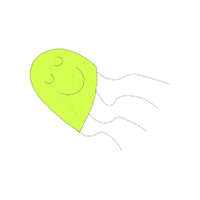 Jellyfish Sticker by Appel à Tous