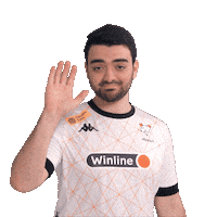 Counter-Strike Bears Sticker by Virtus.pro