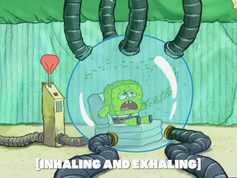 season 5 episode 3 GIF by SpongeBob SquarePants