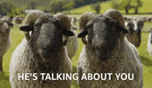 Lamb Shepherd GIF by The Sheep Detectives