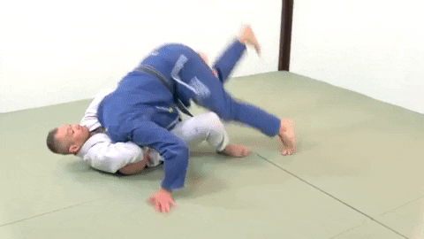 ritchieyip giphygifmaker sweep guillotine choke GIF