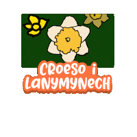 Ysgol Carreghwfa Sticker