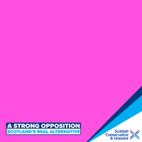 GIF by The Scottish Conservatives
