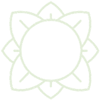 Matcha Sticker by Machacafemilano