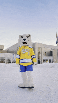 Cheer Victory GIF by University of Alaska Fairbanks