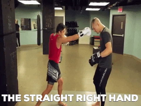 ritchieyip giphygifmaker boxing kickboxing basics GIF