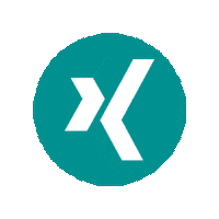 Job-Leben Sticker by XING_de