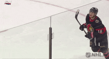 Ice Hockey Hug GIF by NHL
