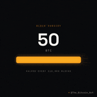 Block Reward GIF by The Bitcoin Act