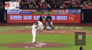 야구 GIF