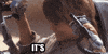GIF by Giphy QA