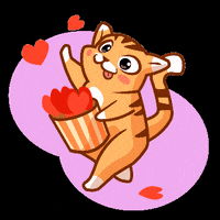 ElenaLondon кот абрикос абрикоспринт abrikos GIF