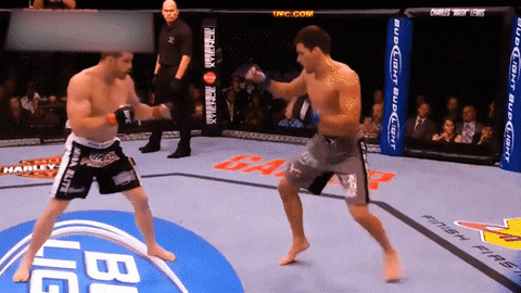 MMAcoach79 giphyupload ufc 241 mma training ufc training GIF