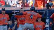 2018 Postseason Sport GIF by MLB