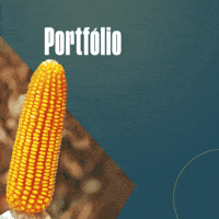 Nematoides GIF by Longping High Tech