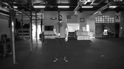 setforset giphygifmaker GIF