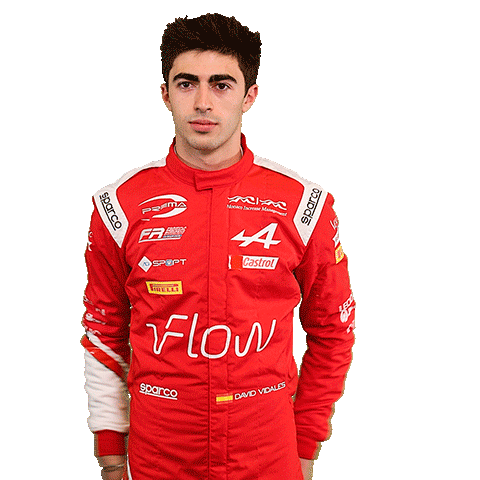 David Alpine Sticker by Prema Team
