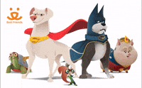 DC LEAGUE OF SUPER-PETS