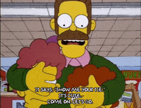 season 9 todd flanders GIF