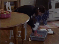 season 1 netflix GIF by Gilmore Girls 