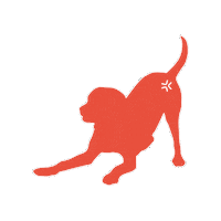 Happy Dog Sticker by Movora
