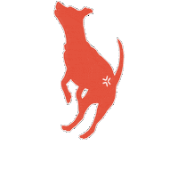 Happy Dog Sticker by Movora