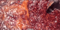 hot pot GIF
