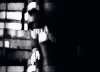 Flex Flexing GIF by New 11