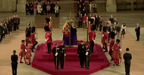 giphyupload GIF