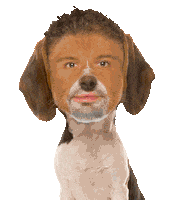 Late Motiv Dog Sticker by Movistar+