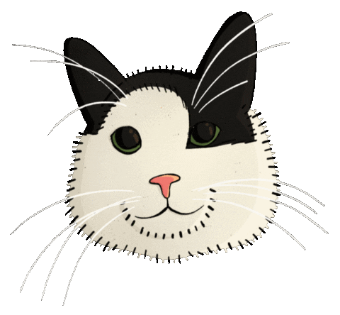 zehraozalay cat zehraozalay Sticker