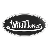 Vondutch Sticker by Wildflower Cases