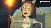 Season 2 Episode 209 GIF by Rick and Morty