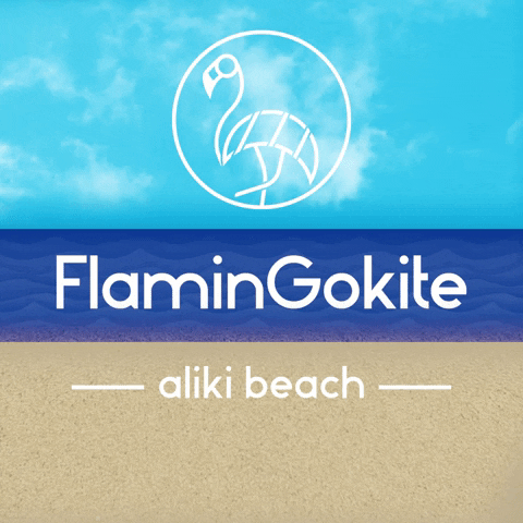 Summer Beach GIF by FlaminGokite
