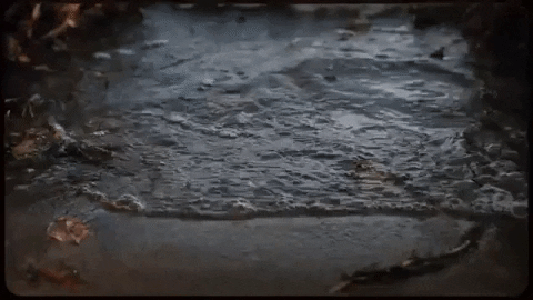 Water Waves GIF by Rhymesayers