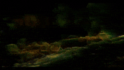Glitch Fighting GIF