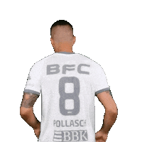 Football Soccer Sticker by BFC Dynamo