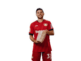 Bayer 04 Popcorn Sticker by Bayer 04 Leverkusen