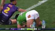 Celeb Nrl GIF by Canberra Raiders