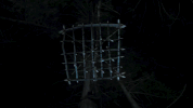 scully believe GIF by The X-Files