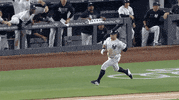 Happy New York Yankees GIF by Jomboy Media