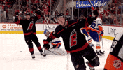 Happy National Hockey League GIF by NHL
