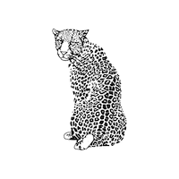 faunakids leopard fauna faunaie faunakids Sticker