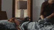 workin moms comedy GIF by CBC