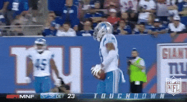 Detroit Lions Football GIF by NFL