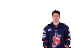 tiposshl sport hockey hokej shl Sticker