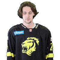 tiposshl sport hockey hokej hockeyslovakia Sticker
