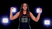 Womens Basketball GIF by Wright State University Athletics