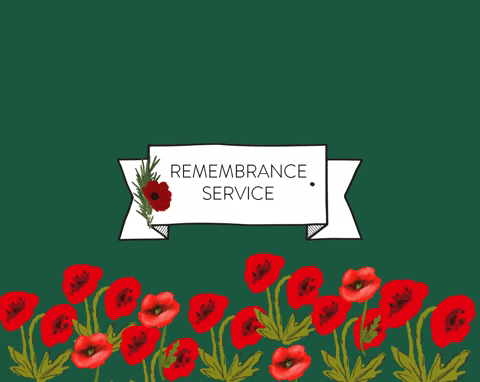 stoverschool giphygifmaker giphyattribution remembrance GIF